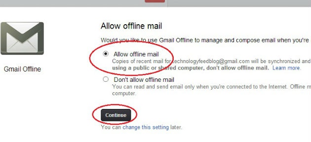 Select Allow Offline Gmail